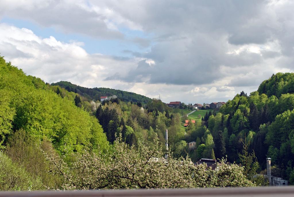 Ferienwohnung FeWo Radi an der Buchberger Leite Hohenau Exterior foto